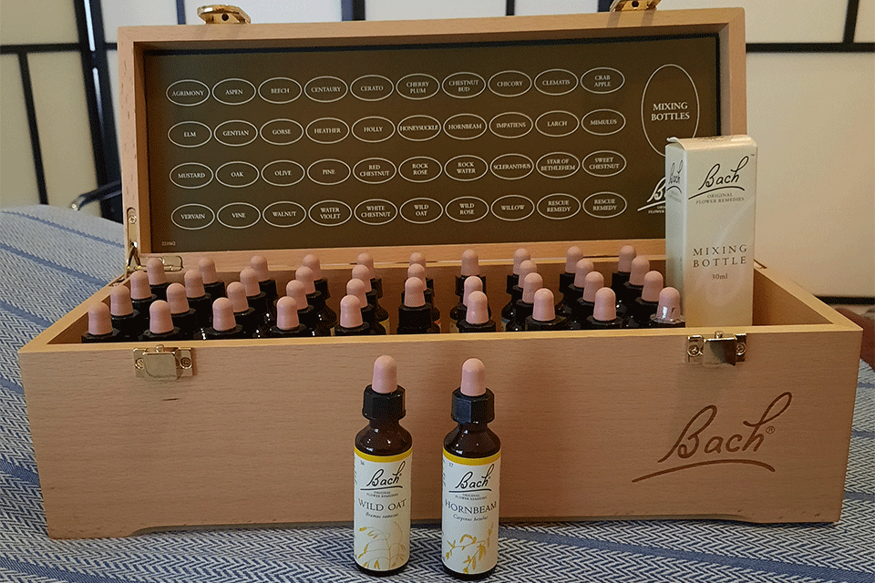 Holistic Centre Bach flower therapy natural holistic therapy Holistic Centre Ireland